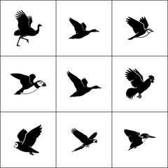 Collection of 9 bird silhouettes in flight. Vector pack of flying birds.