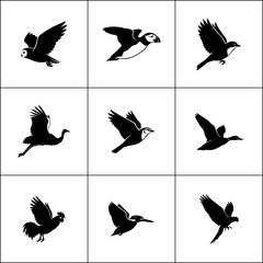 Set of 9 bird in flight silhouettes. Vector icons isolated on white.