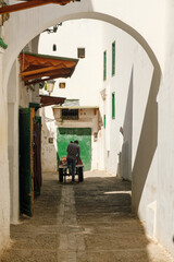 Small white alley in Tetouan, Morocco, with arched passageway, local resident pushing a cart, and textured old walls in a traditional neighborhood.