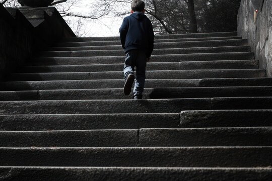young child walking up wide stone stairs outdoors on a cloudy day surrounded by leafless trees creating a somber mood