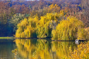Morning reflection on the small pond...
