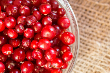 Ripe organic cranberries on rustic wooden table. Autumn harvest and healthy nutrition concept. Natural red berries background for seasonal design, countryside lifestyle and eco food theme.