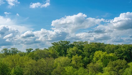Fototapeta premium Enjoy the serene view of a landscape featuring lush green trees and a clear blue sky, promoting relaxation