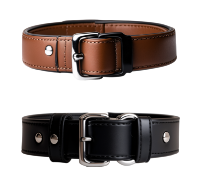 Side view of a leather dog collar with a shiny metal buckle and a tag isolated on a transparent background - Powered by Adobe