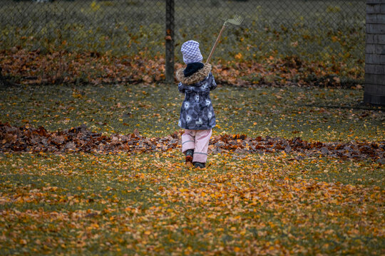 Little child raking autumn leaves in garden, kid playing outdoors in colorful fall park, childhood and outdoor activity concept