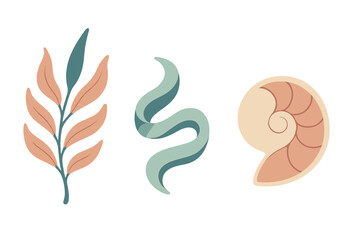 Naklejka premium Stylized collection of natural elements: leafy branch, abstract wavy shape, and nautilus shell