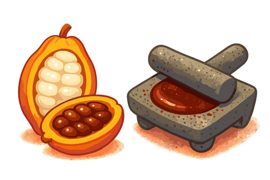 Cacao pod cut open showing fresh beans next to traditional stone metate grinding tool