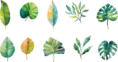 vector set of green leaves