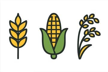 Set of wheat, corn, and rice cereal crops depicted as colorful flat agricultural icons