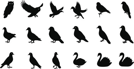 Bird silhouettes collection, owl pigeon swan illustration, flying and standing birds, wildlife species variety, ornithology design set, flat vector artwork