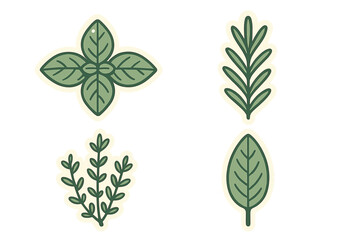 Obraz premium Stylized set of four green culinary herb stickers including basil, rosemary, and thyme