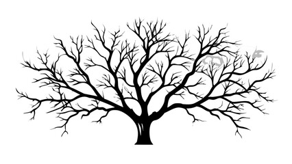 Obraz premium Striking bare tree silhouette branches reach outward creating a dramatic natural design perfect for seasonal themes or symbolic concepts