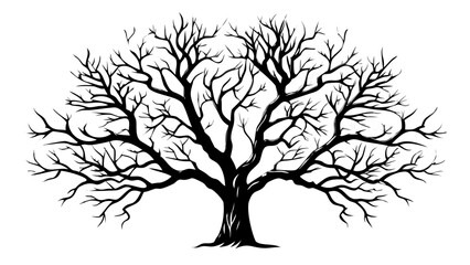 Obraz premium Majestic bare tree silhouette branches reaching skyward symbolizing winter, growth, and nature's resilience