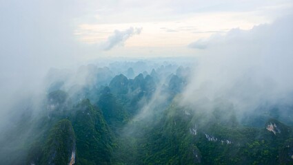 Misty forest canopy with sunlight breaking through the clouds above
