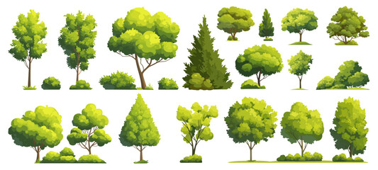 Trees cartoon set. Green tree, side view urban landscape decor thuja bush spruce garden vegetable garden horticulture design vector illustration
