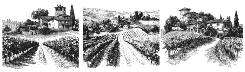 Naklejka premium Vineyards engraving set. Vineyard monochrome drawing, wine farm Italy France Tuscan Villa countryside winemaking grapes vector illustration