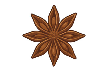 Detailed brown star anise spice pod isolated on a white background for culinary and seasonal design projects