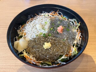 Shirasu Don (Raw Whitebait Rice Bowl) in Enoshima Island, Kanagawa