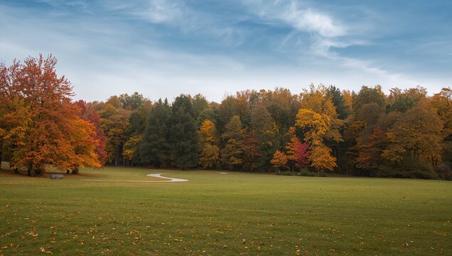 Autumn scenery in a park with colorful foliage, showcasing seasonal change