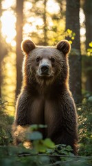 Fototapeta premium A bear cub in the forest against the backdrop of sunlight filtering through the trees. Suitable for articles about nature, ecology, wildlife, and outdoor travel.