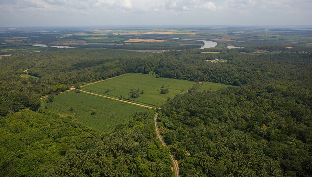 Aerial view over the Xingu Indigenous Park showcasing soy fields within the Amazon rainforest, highlighting deforestation risks