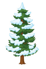 Snow-covered pine tree illustration