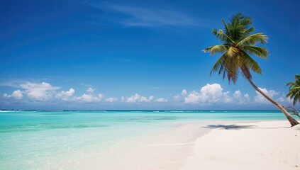 Coconut Coast Tropical Retreat, highlighting seasonal change