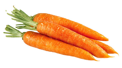 Three fresh whole carrots with green tops isolated on transparent background