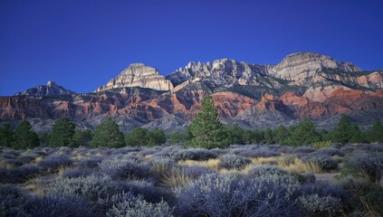 Majestic mountains rise over rocky terrain, featuring dense pine trees and shrubbery, highlighting erosion risk.