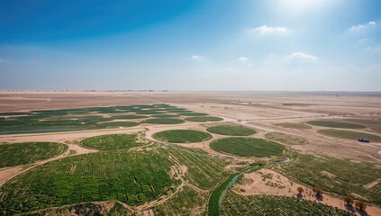 Aerial perspective of circular green irrigation zones in a desert landscape, highlighting water management efficiency