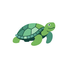 A turtle illustration vector style