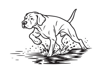 Hunting Dog Line Art Vector Illustration, Pointer Dog Silhouette Sketch, Pointer dog vector illustration art