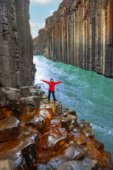A person stands on rocks in Studlagil Basalt Canyon, surrounded by towering basalt columns and a flowing river in Iceland. The vibrant water contrasts with the rugged landscape.