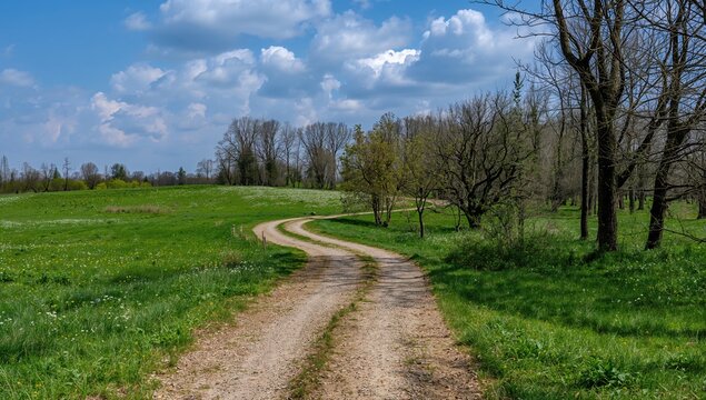 Gravel path curving through a countryside landscape featuring a meadow and trees, showcasing seasonal change