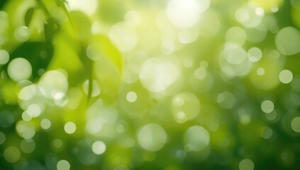 Obraz premium Green and white bokeh backdrop created by natural elements, suitable for editorial header background