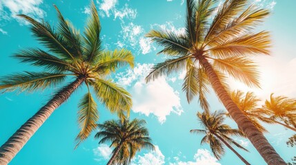 Obraz premium A vibrant view of palm trees against a bright blue sky, capturing the essence of a tropical paradise.