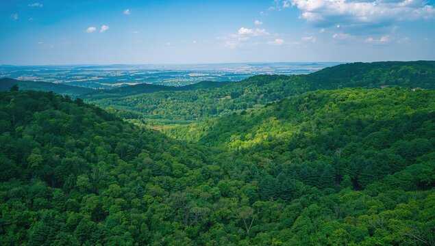 Aerial view of mountain hills covered in dense green woods, showcasing seasonal growth - Powered by Adobe