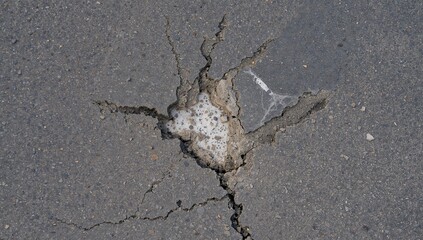 While building their new residence, the couple encountered a financial hurdle upon finding foundation cracks, raising concerns for their home's future.