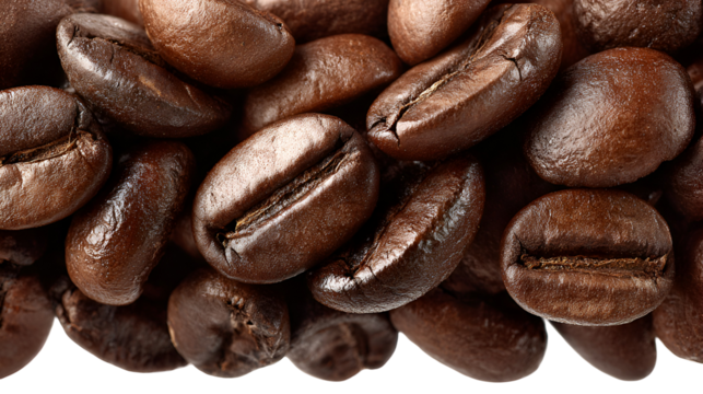 Close up macro shot of roasted coffee beans isolated on transparent background