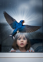 The swallow warns the child of danger and returns years later to reveal devotion.