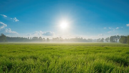 Obraz premium A vibrant field of green grass under sunlight, showcasing the beauty of nature's growth, Earth Day