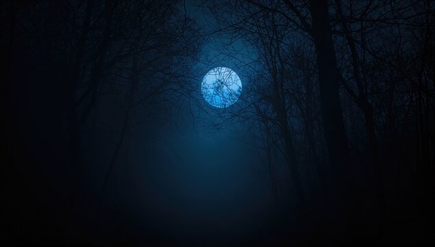 Enigmatic shadowy outline of twisted branches under a night sky in a foggy woodland