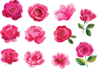 Naklejka premium seamless pattern with pink roses