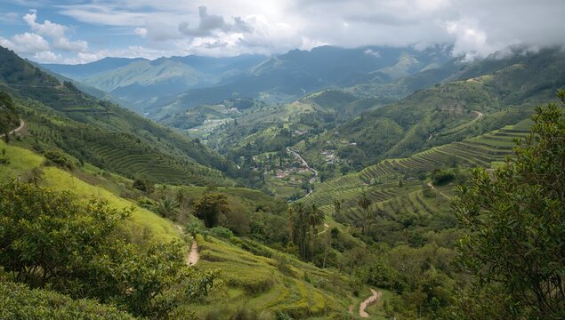 Oxapampa Valley features lush green hills and cultural richness, highlighting the need for preservation