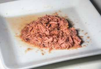 tuna fish chunks on a plate