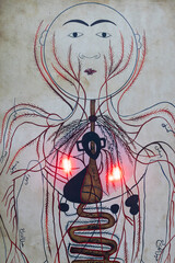 Schematic representation of the human nervous system.