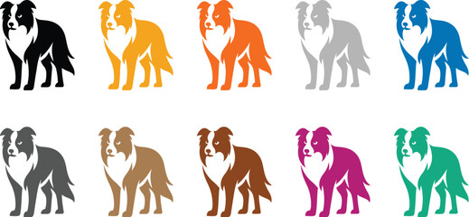 Colorful border collie dog silhouettes on white background, Multicolor dog poses vector illustration