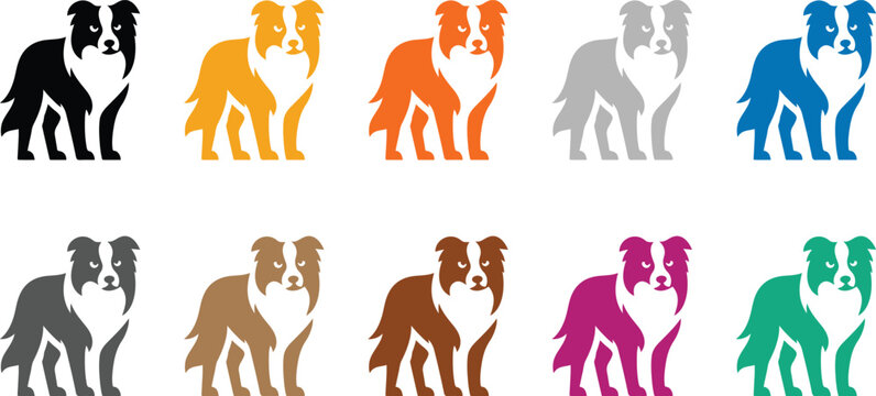 Colorful border collie dog poses on white background, Multicolor herding dog vector silhouettes
