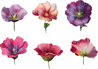 collection of flowers