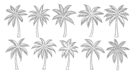 Obraz premium Collection of stylized palm tree drawings on a clean white background, featuring detailed fronds and coconuts, perfect for tropical themes, travel, and summer designs. This vector illustration set